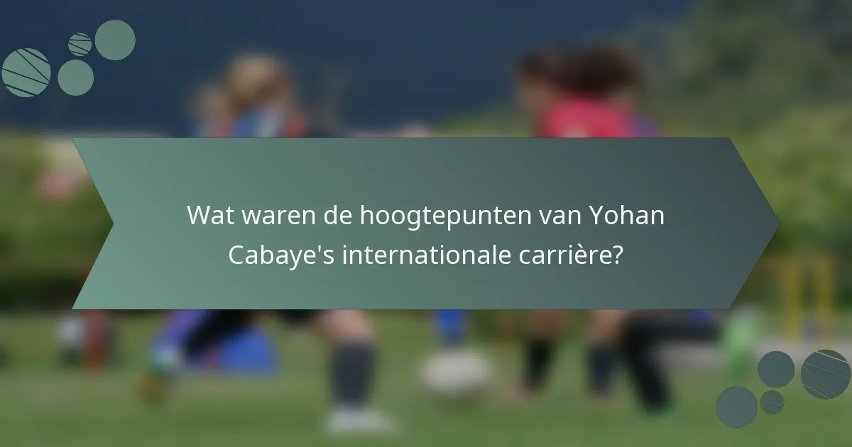 Wat waren de hoogtepunten van Yohan Cabaye's internationale carrière?